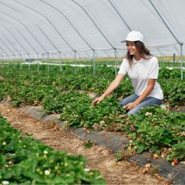 Comment optimiser le nombre de travailleurs temporaires dans le secteur agricole ?