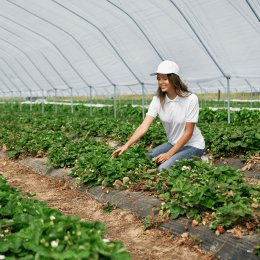 Évolution des Salaires des Travailleurs Agricoles en 2024 et 2025