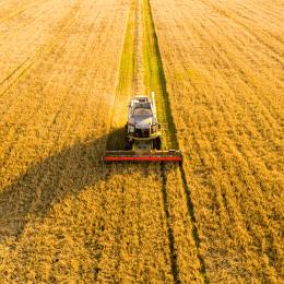 L'Impact des Politiques Agricoles sur l'Emploi Temporaire