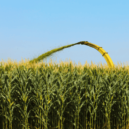 Situation du Marché de l'Emploi Agricole en 2024 et Prévisions pour 2025